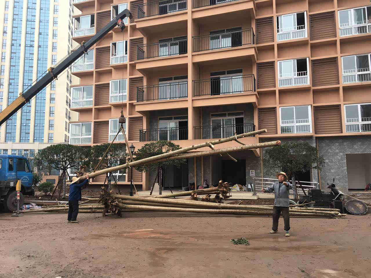 �o���н�ꖅ^(q��)�������Uס�����^�G������