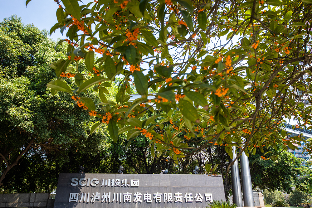 ����늏S�B(y��ng)�o(h��)